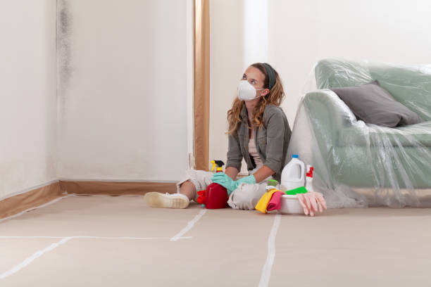 Reliable Mold Inspection And Testing contractor in Harleysville, PA by Mold Remediation HQ